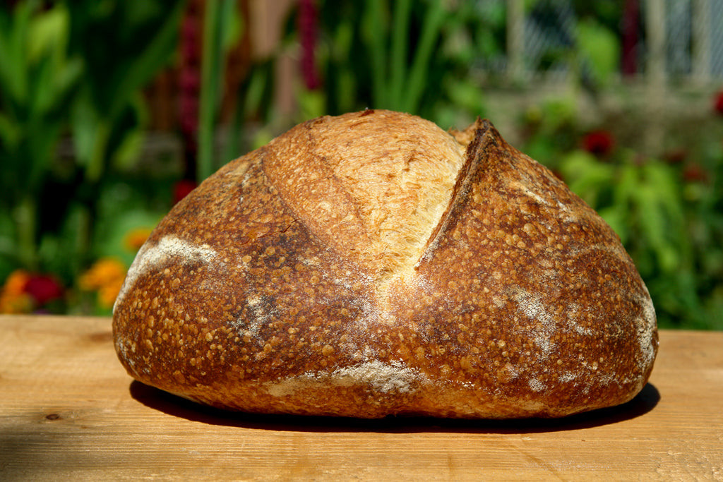 Paine cu Drojdie din Apa Fermentata cu Mere - AYW Bread