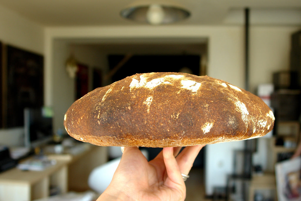 MICHE- partea a doua