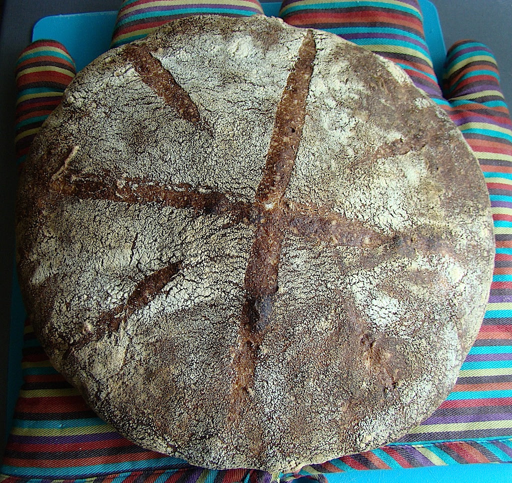 Miche, un vis si un cosmar - Miche, a dream and a nightmare