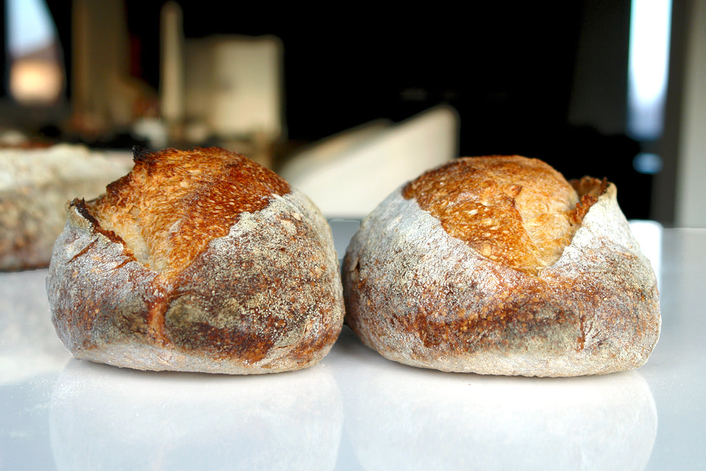 San Joaquin Sourdough - formula lui David Snyder